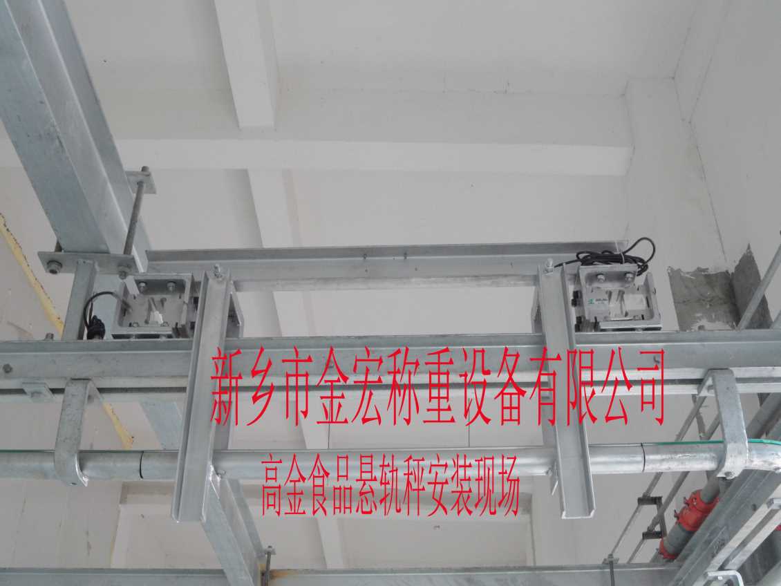 南阳电子悬轨秤