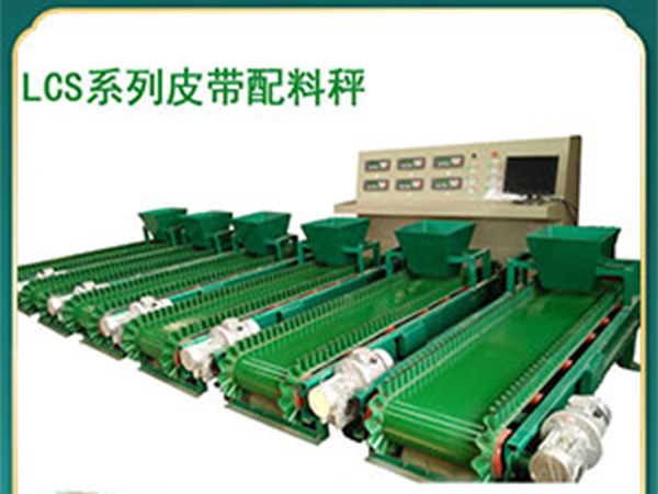 南阳裙边橡胶带定量给料机