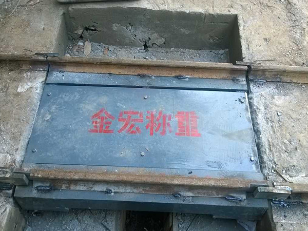 南阳电子轻轨衡